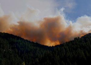 Find Out How the Mortality Rate Increased Due to Wildfires: New Data Available
