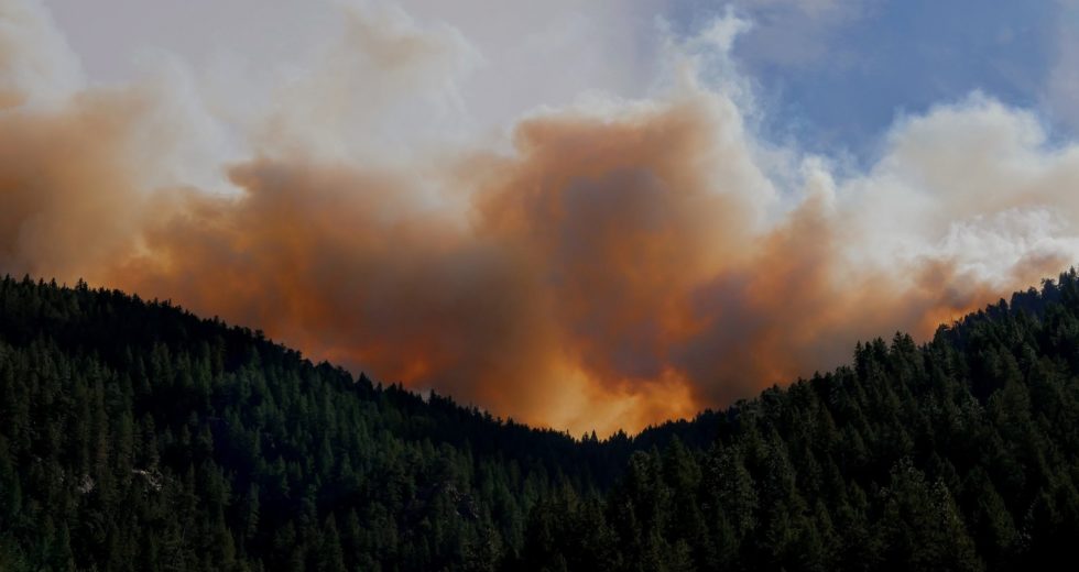 Find Out How the Mortality Rate Increased Due to Wildfires: New Data Available