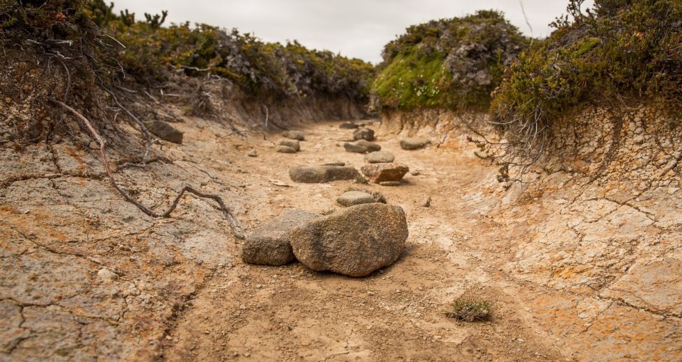 Extreme Summer Droughts Will Increase in Europe, New Data Show