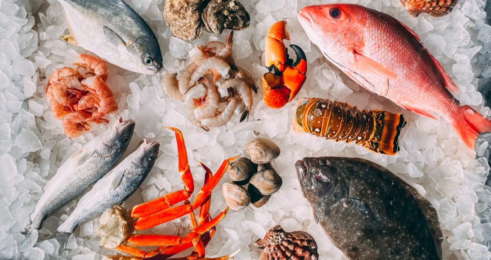 Aquatic Food Could Reduce Malnutrition Around The World