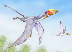 The Bones of the Flying Lizard of the Jurassic Era Unearthed in Chile