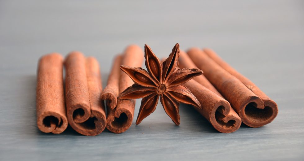 Top 10 Cinnamon Supplements On The Market