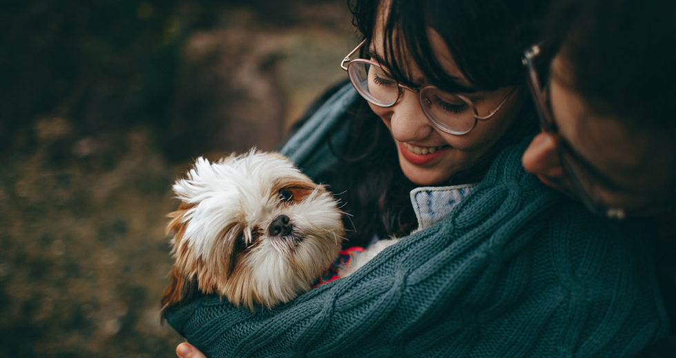 Health-Related Costs for Taking Care Of Your Pet