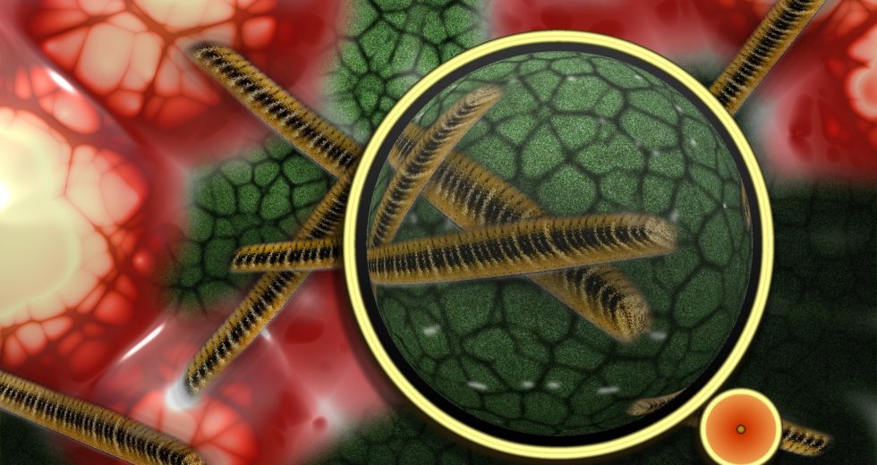 New Antibiotic is Capable of Killing Bacteria That’s Otherwise Resistant to Such Drugs