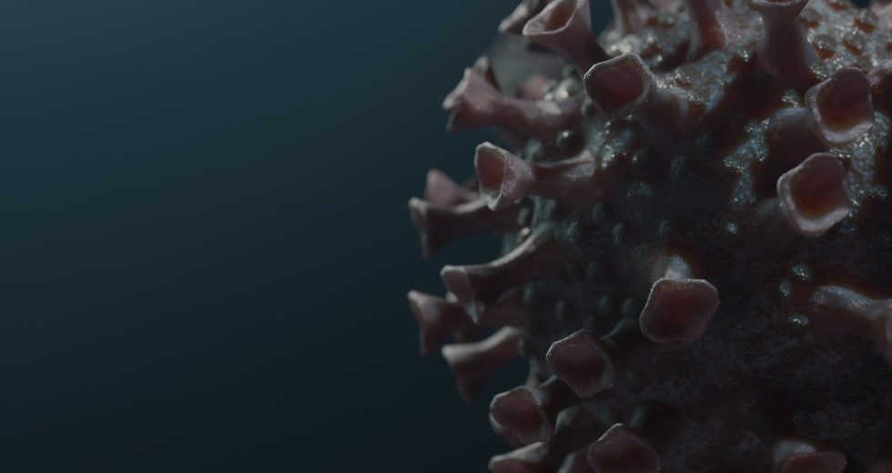 Coronavirus Mutations  –  Should You Be Concerned?