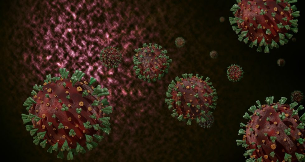 Japanese Scientists Develop Vaccine that Could End SARS-related pandemics