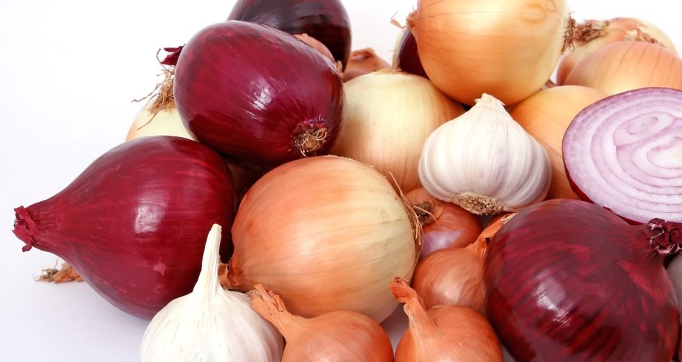 The CDC Raises Awareness for Salmonella Outbreak Occurring Due to Onions