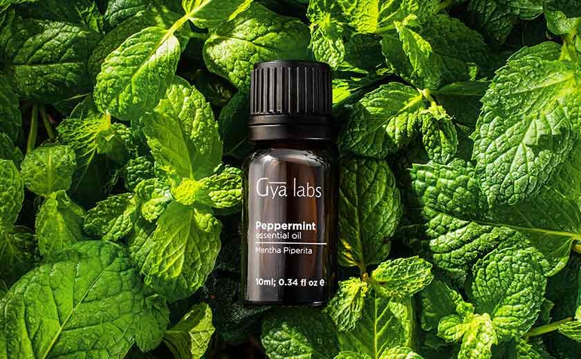 Peppermint Oil Benefits