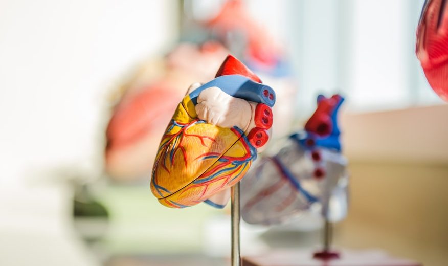 This Thumb Test Could Detect If You Are Likely To Suffer an Aortic Aneurysm