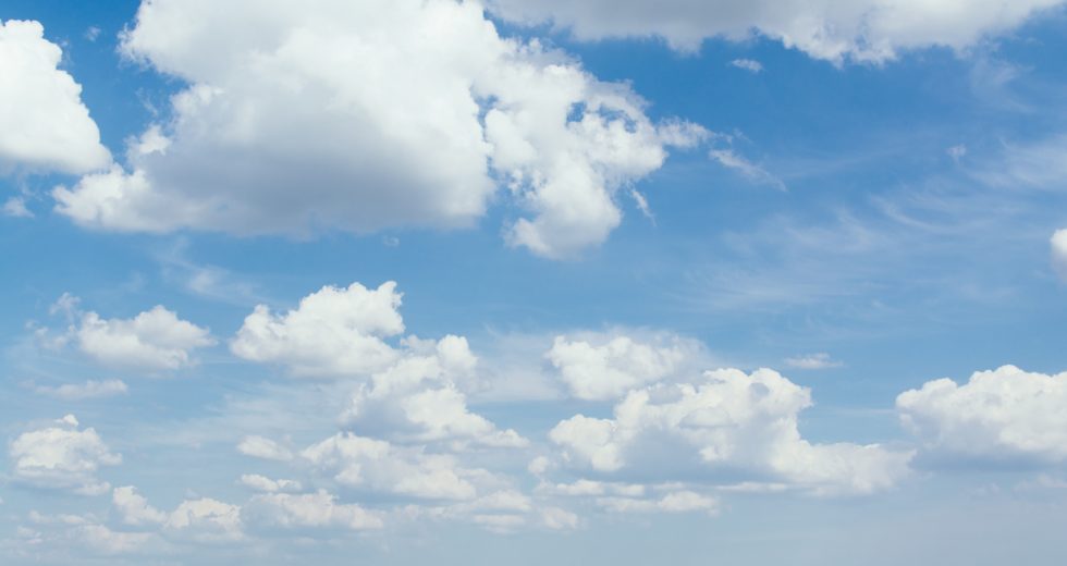 Scientists Discover a Perfectly Preserved Dinosaur Embryo