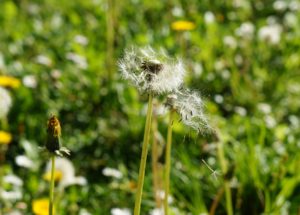 How to Care for Rashes Caused by Allergic Reactions