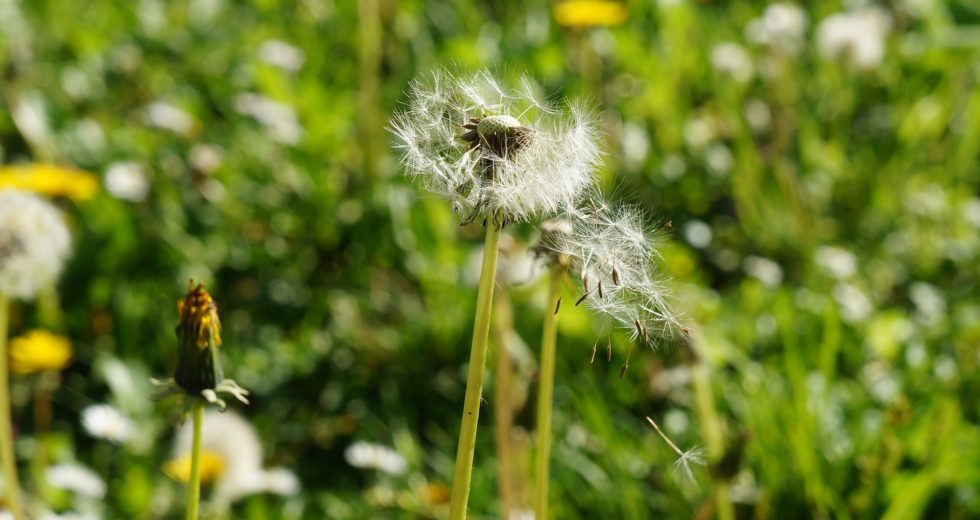 How to Care for Rashes Caused by Allergic Reactions