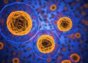 The Process of Cellular Death Isn’t Considered Irreversible Anymore