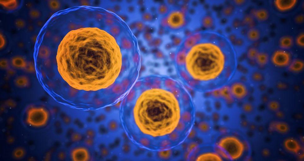 The Process of Cellular Death Isn’t Considered Irreversible Anymore