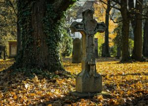Scientists Reveal the Surprising 3rd Leading Cause of Death Worldwide