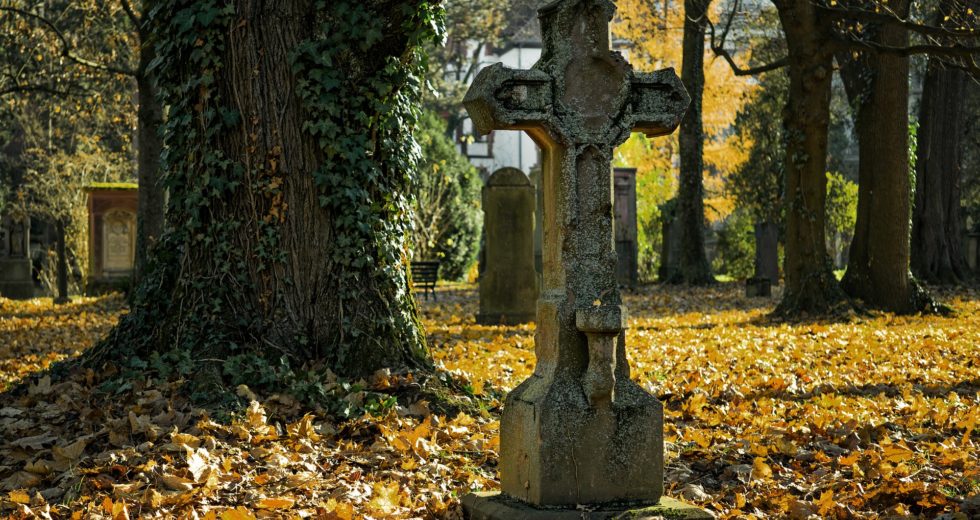 Scientists Reveal the Surprising 3rd Leading Cause of Death Worldwide