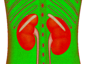 Kidney Disease Could Be Around the Corner If You Manifest This Apparently Meaningless Symptom