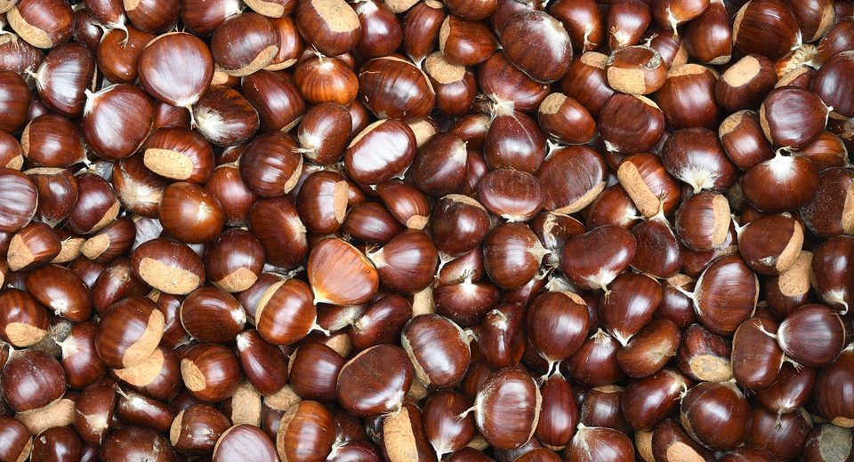 The Health Benefits Of Chestnuts—From Fighting Cancer To Detoxing The Body