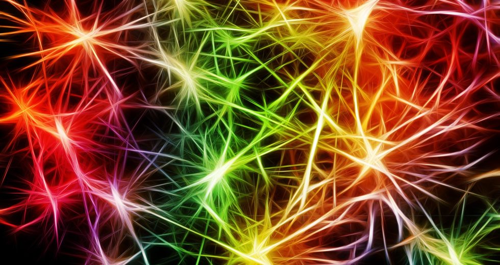 How Do Memories Form in the Brain? Scientists Observe the Process