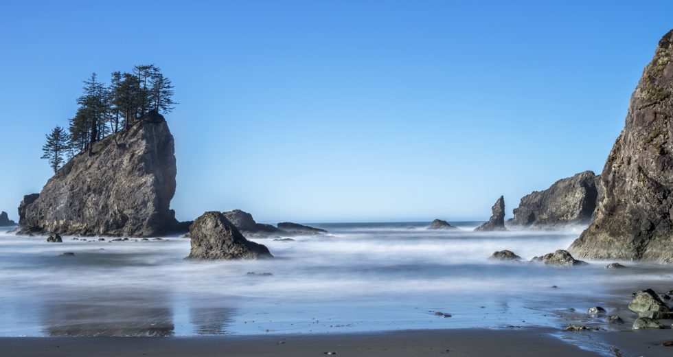 Scientists Discover New and Huge Tortoise Species in Island From the Pacific Ocean