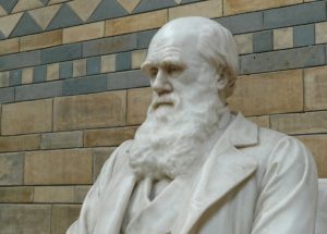 Scientists Create the First RNA Molecule That Replicates