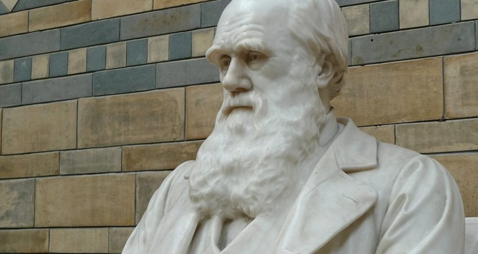 Scientists Create the First RNA Molecule That Replicates