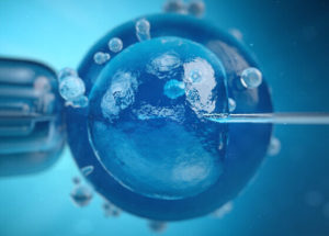 New Study Proves Older Human Eggs Can Be “Reverse Aged” which Can Improve Reproduction Chances for Women Over 40!