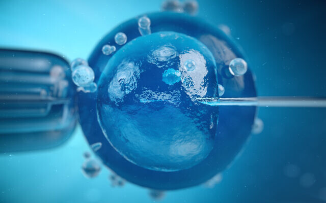 New Study Proves Older Human Eggs Can Be “Reverse Aged” which Can Improve Reproduction Chances for Women Over 40!