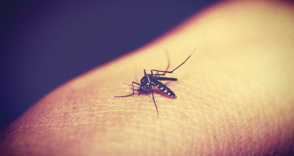 Malaria Treatment Receives Approval to Be Used in the Case of Children