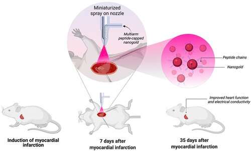 New Research Finds that Tiny Gold Particles Can Treat Heart Disease