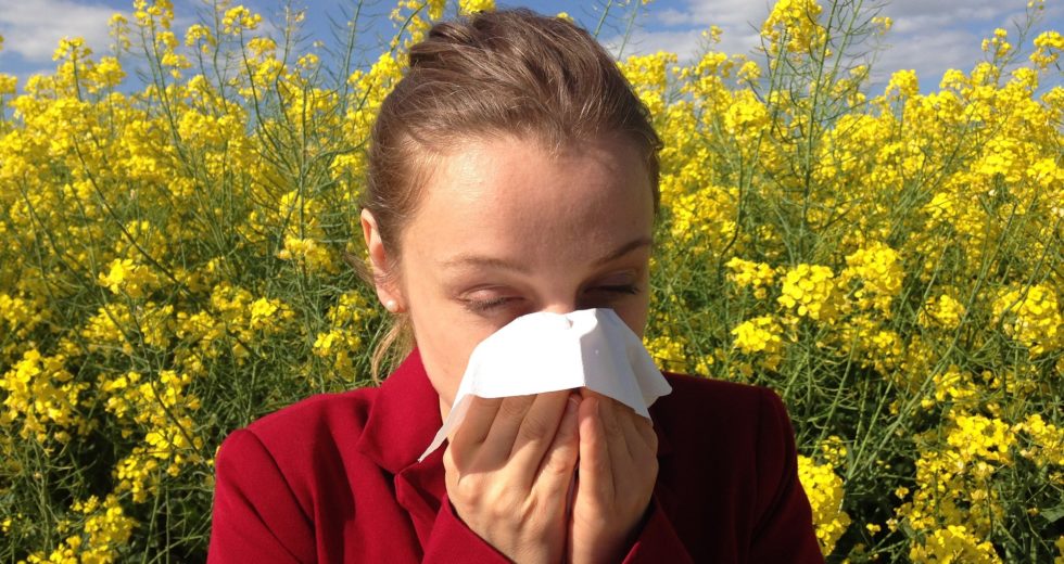 COVID-19 or Seasonal Allergies? – Here’s How You Can Tell the Difference!