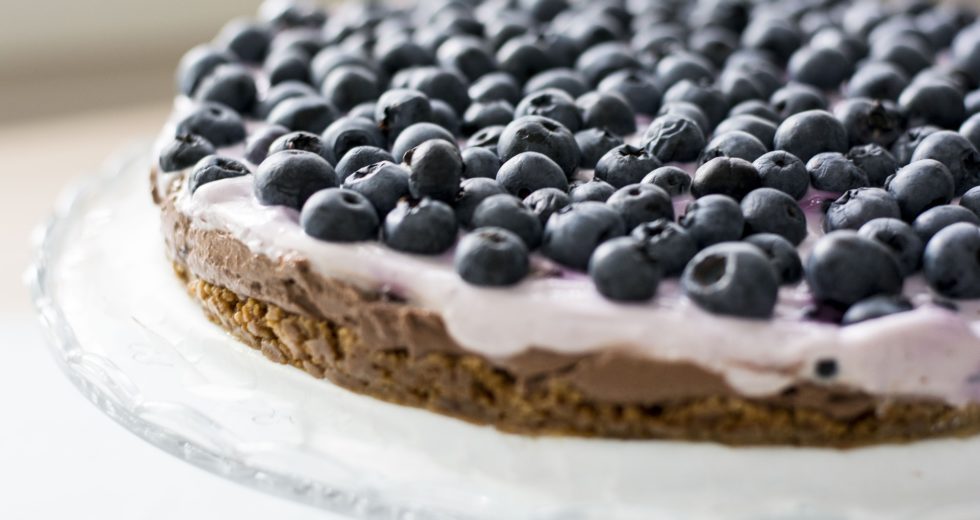 Blueberries – the Miracle Food for Keeping Your Brain Sharp in Old Age!