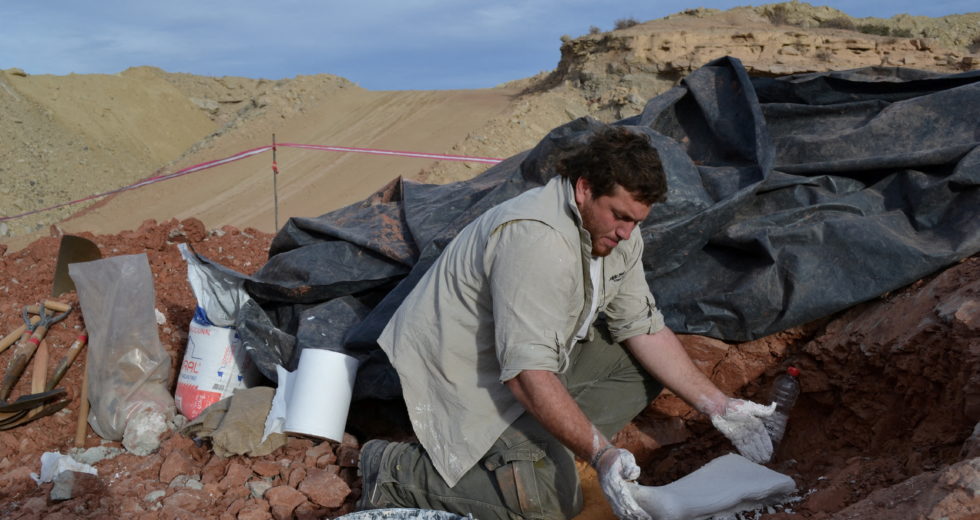 Remains of Bus-Sized Flying Dinosaur Found in Argentina