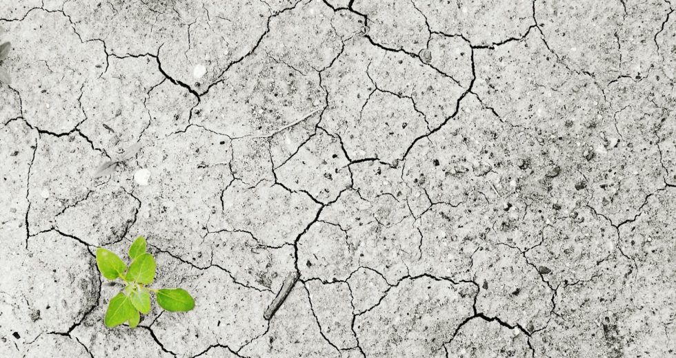 New Study Indicates Climate Change Boosts Infectious Diseases