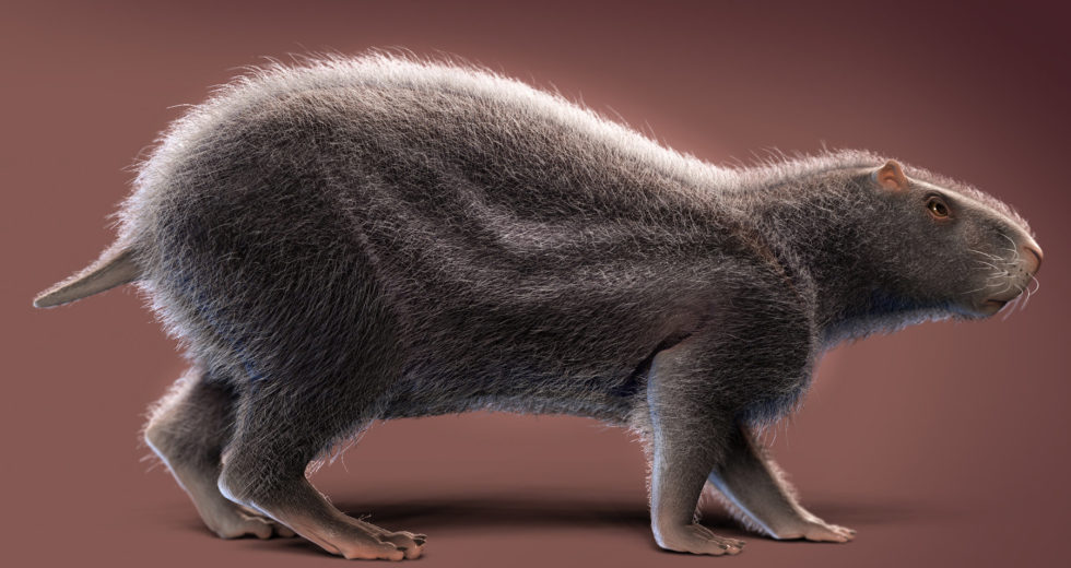 New Study Reveals the First Rodents on Earth Were Smaller than Researchers Believed