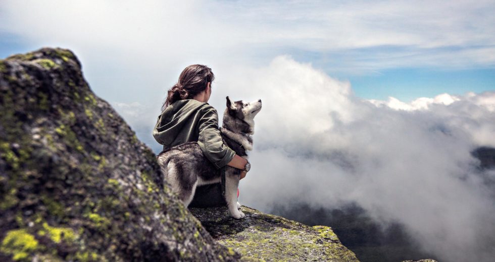 Scientists Finally Know Why Dogs Are Very Friendly to Humans