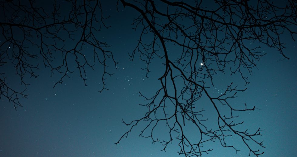 New York and Connecticut Witness Imposing Fireball Zooming Across the Night Sky