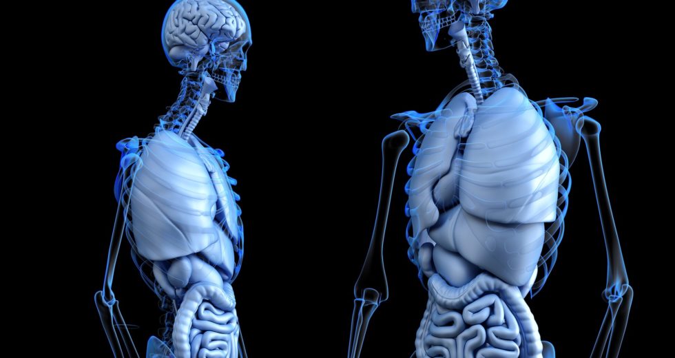 5 Tips on Preparing Yourself for an Organ Transplant