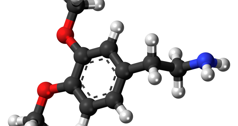 Is There a Link Between Cannabis and Dopamine?