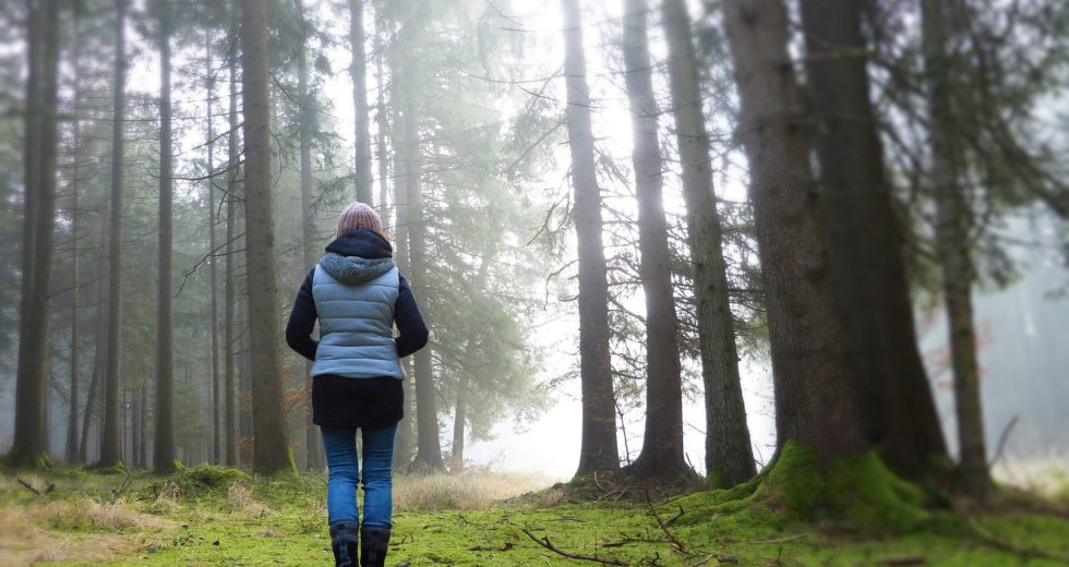 Immunity, Flu, And Aging: What Happens To Some Immune Cells As We Age?