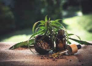 How Much CBD Oil Should You Take In A Day For Optimal Results?