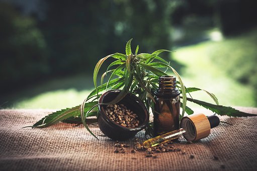 How Much CBD Oil Should You Take In A Day For Optimal Results?