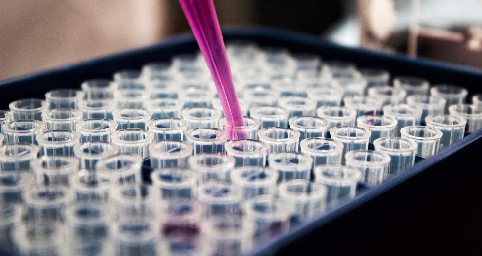 Experimental CRISPR Technology Could Remove Detectable Cancer Cells