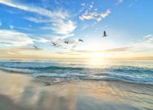 Sea Level Rise Across the Planet Could Accelerate Rock Coast Erosion
