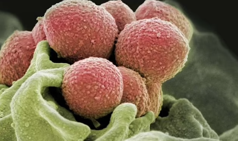 A Strep A Vaccine May Be Just Around the Corner as Child Deaths Reach Concerning Numbers