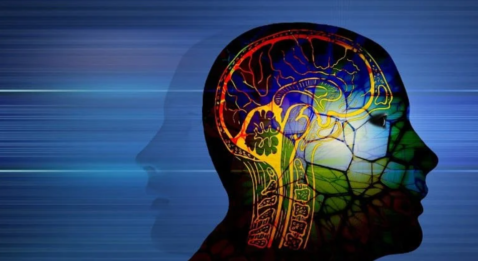 New Research Finds that Trauma Can Physically Change One’s Brain