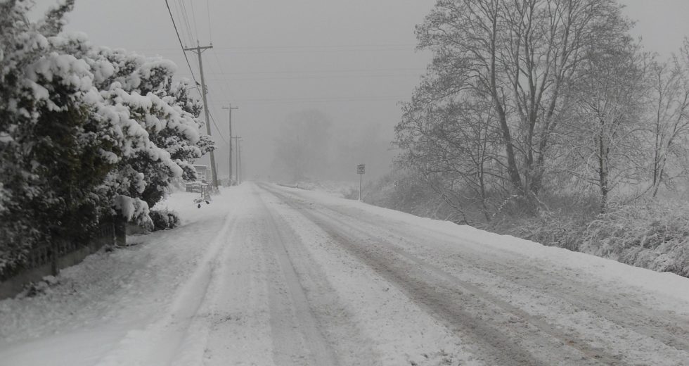 Massive Winter Storm in the US Leads to Dozens of Deaths and Lack of Electricity
