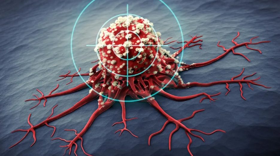 Potatoes and Tomatoes May Soon Be Used to Make Cancer Medicine – Here’s Why it Could Work!