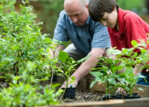 People Involved in Gardening are Healthier
