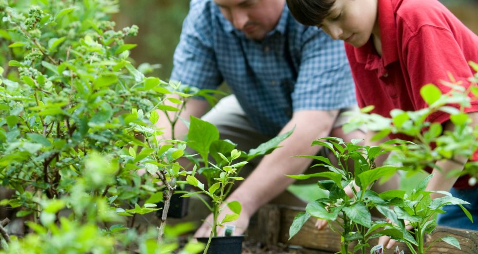 People Involved in Gardening are Healthier